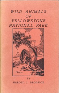 Cover of Wild Animals of Yellowstone Nati...