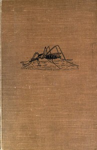 Cover of More Minor Horrors — Reading Notes