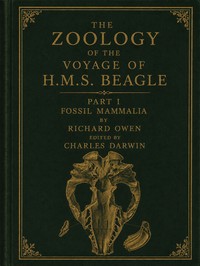Cover of The zoology of the voyage of H.M...